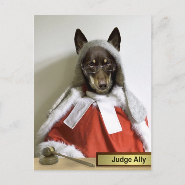 Judge Ally Postcard (Front)