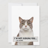 Judging Cat Sarcastic Quote Minimal Art