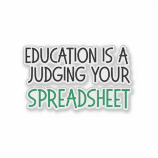 Judging Your Spreadsheet, Funny Accountant gift