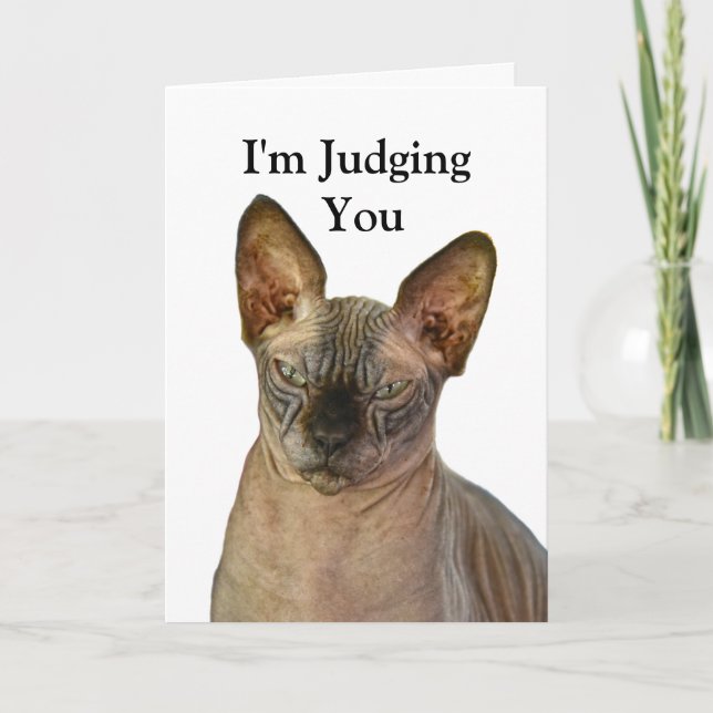 Judgmental Sphinx Cat Happy Birthday Card (Front)
