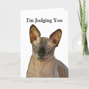 Judgmental Sphinx Cat Happy Birthday Thank You Card