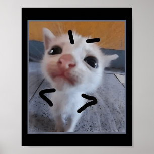Judgy Kitty Funny Cat Lover Angry Kitten Meme Cute Poster