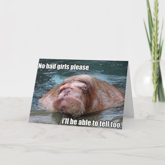 Judgy Walrus greeting card (Front)