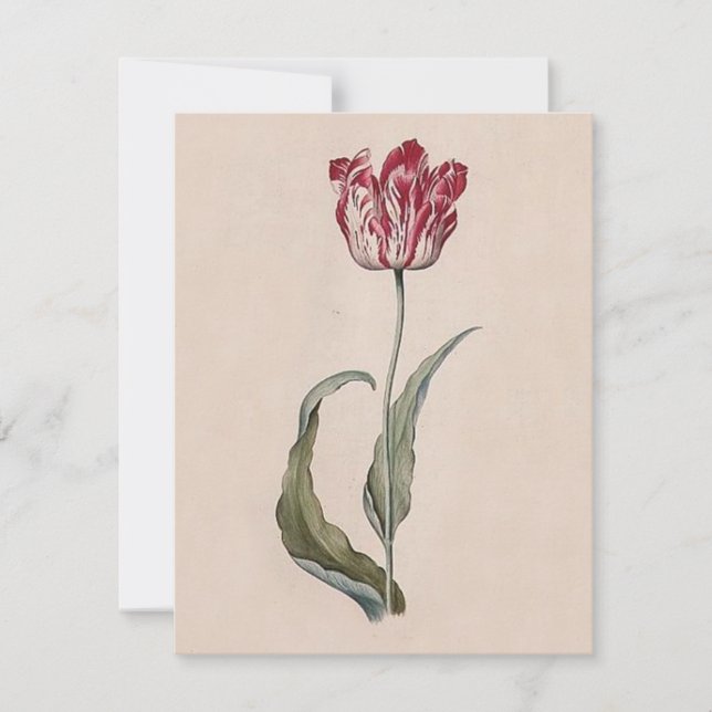 Judith Leyster Tulip Invitations (Front)