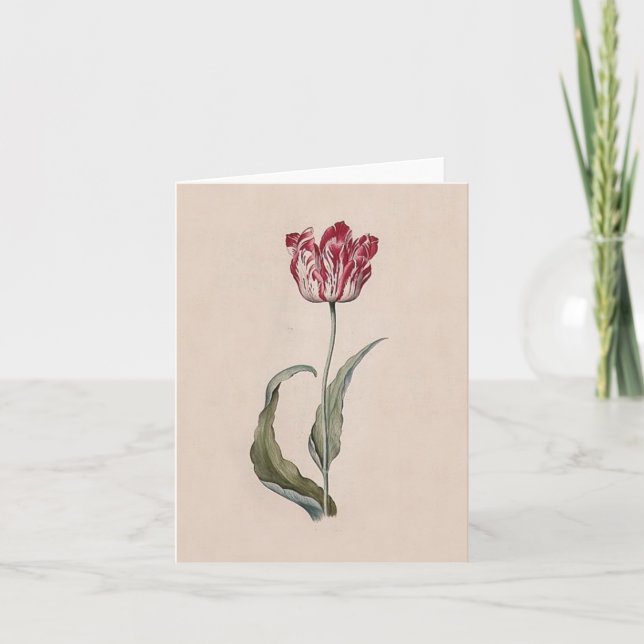 Judith Leyster Tulip Note Card (Front)