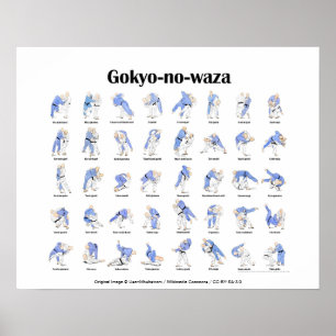 Judo throws poster