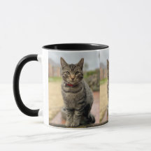 Juggling Daisies Ernest Photo Mug