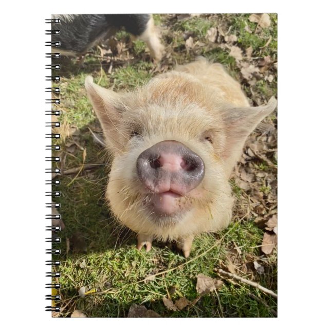 Juggling Daisies Mona Notebook (Front)