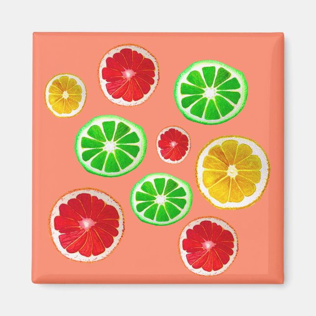 Juicy Fruit citrus fruit pattern Magnet (Front)