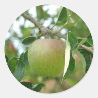 Juicy Green Apple Classic Round Sticker