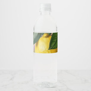Juicy lemons  water bottle label