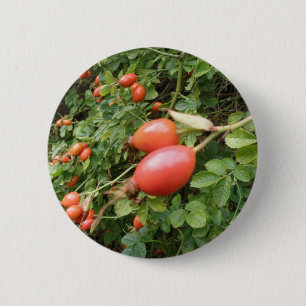 Juicy Red Rose Hips Button