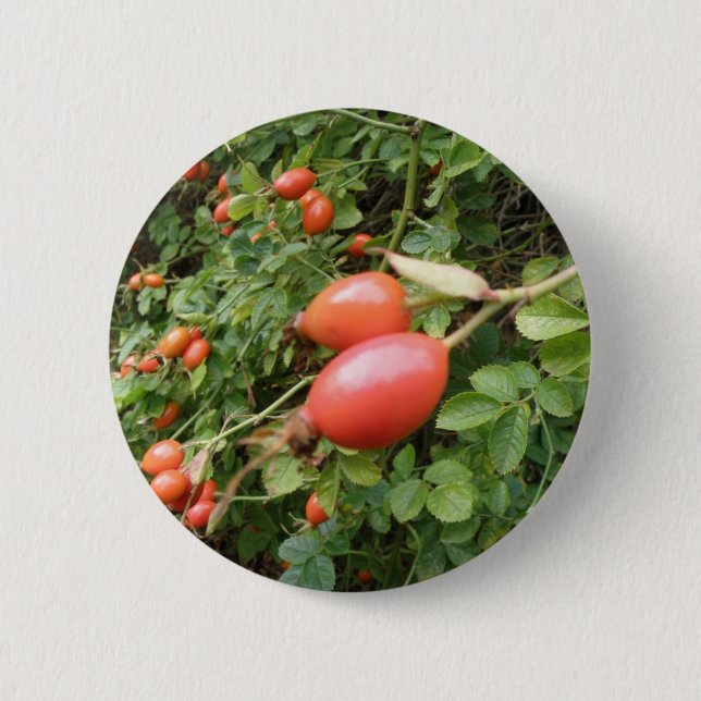 Juicy Red Rose Hips Button (Front)