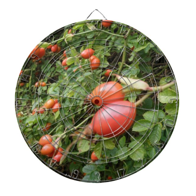 Juicy Red Rose Hips Dart Board (Front)
