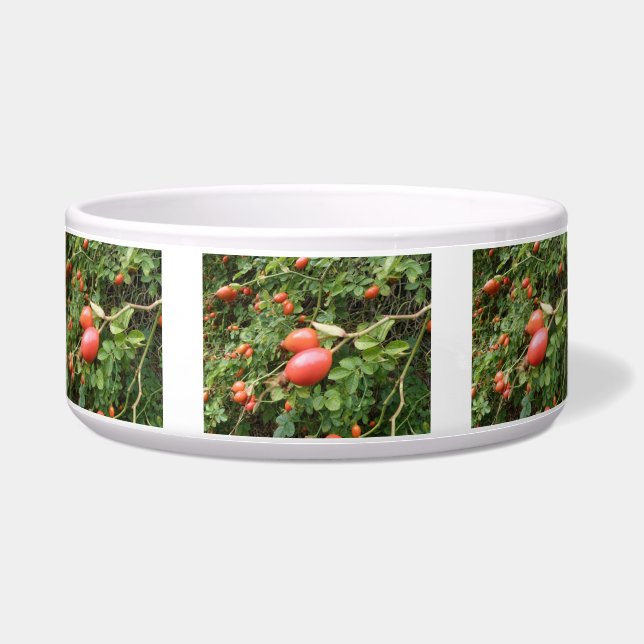 Juicy Red Rose Hips Dog Bowl (Front)