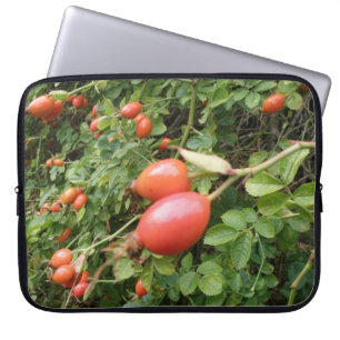 Juicy Red Rose Hips Laptop Bag