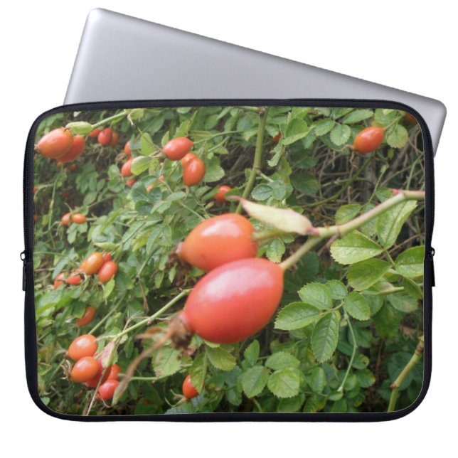 Juicy Red Rose Hips Laptop Bag (Front)