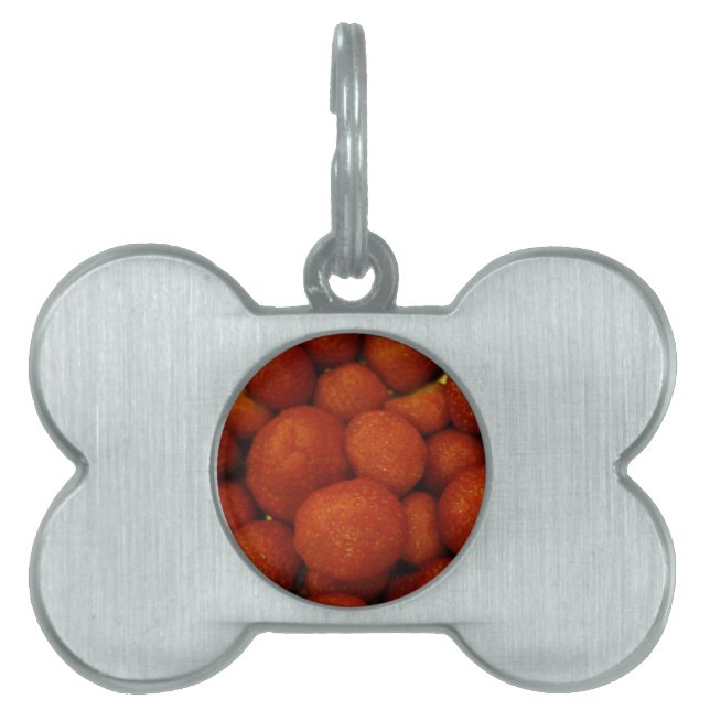 Juicy Strawberries Pet Tag (Front)