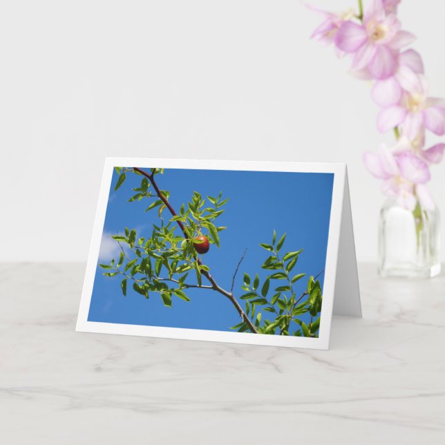 Jujube Fruit on Deciduous Tree Card (Orchid)