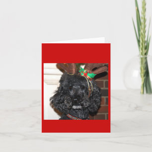 Jules Yule. Holiday Card