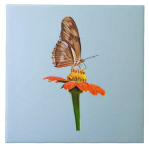 Julia Butterfly on Zinnia Tile