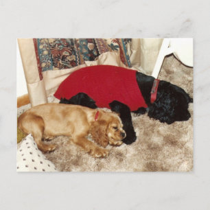 julie's journal - another chapter ends postcard