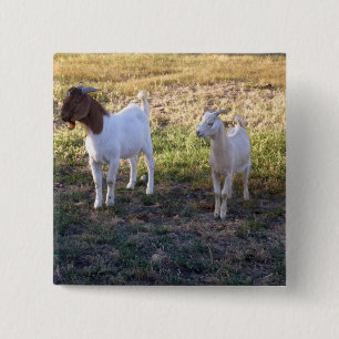 July2008_TwoGoats_v2 15 Cm Square Badge