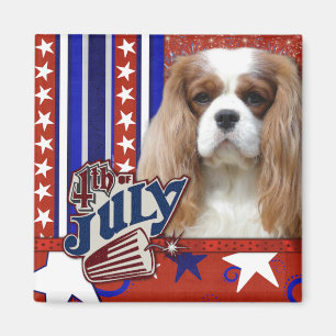 July 4th Firecracker - Cavalier - Blenheim Magnet