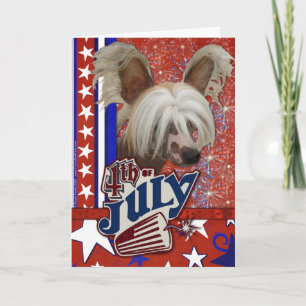 July 4th Firecracker - Chinese Crested Card