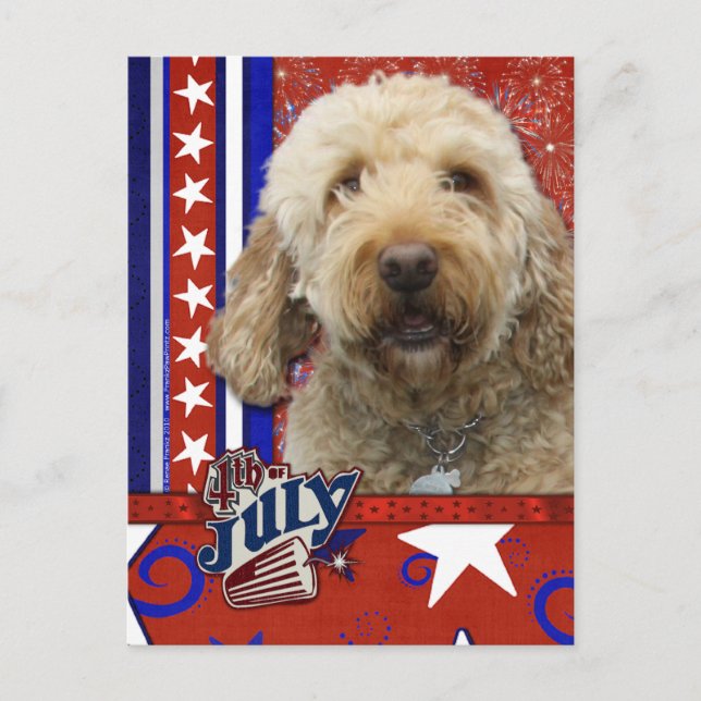 July 4th Firecracker - GoldenDoodle Postcard (Front)