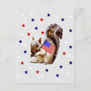 July 4th Squirrel Postcard