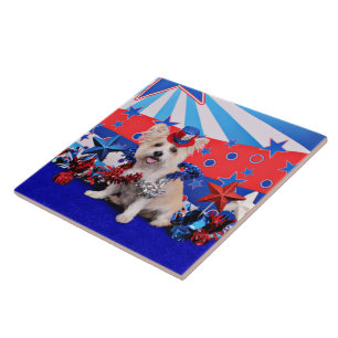 July 4th - Westie X - Lady Tile