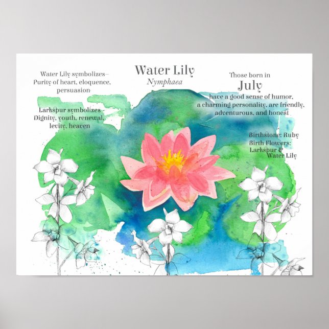 July Birthday Waterlily Larkspur Pond Flowers  Poster (Front)