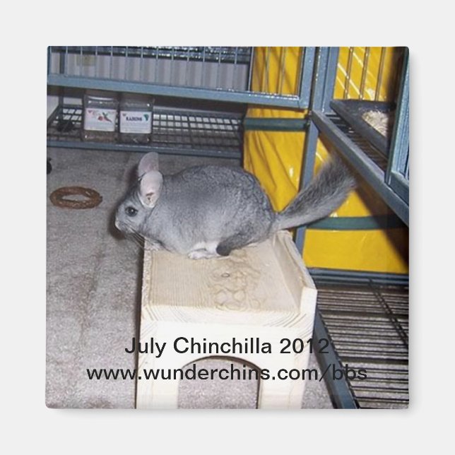 July chinchilla 2012 magnet (Front)