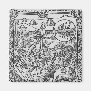 July, haymaking, Cancer Magnet