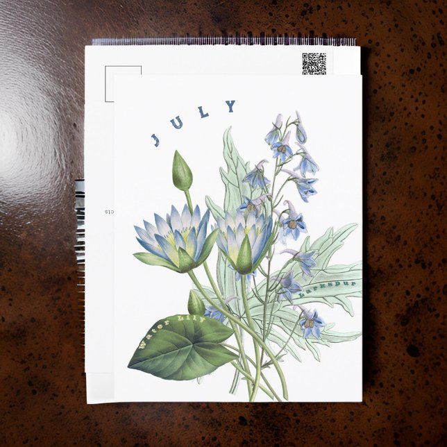 July Month Flowers Larkspur and Water Lily | Postcard (Creator Uploaded)