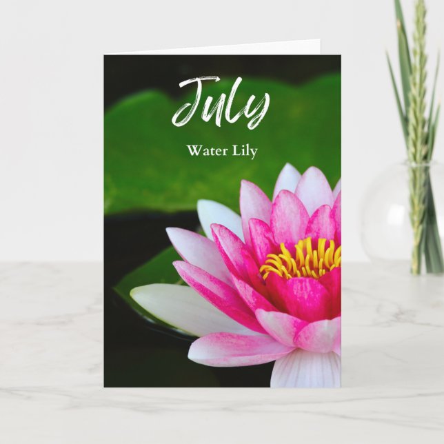 July Vibrant Pink Water Lily Birth Month Flower Card (Front)