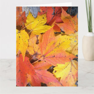 Jumbo Greeting Card - Maple Leaves