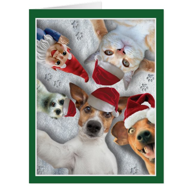 Jumbo Holiday Animal Selfie Christmas Card (Front)