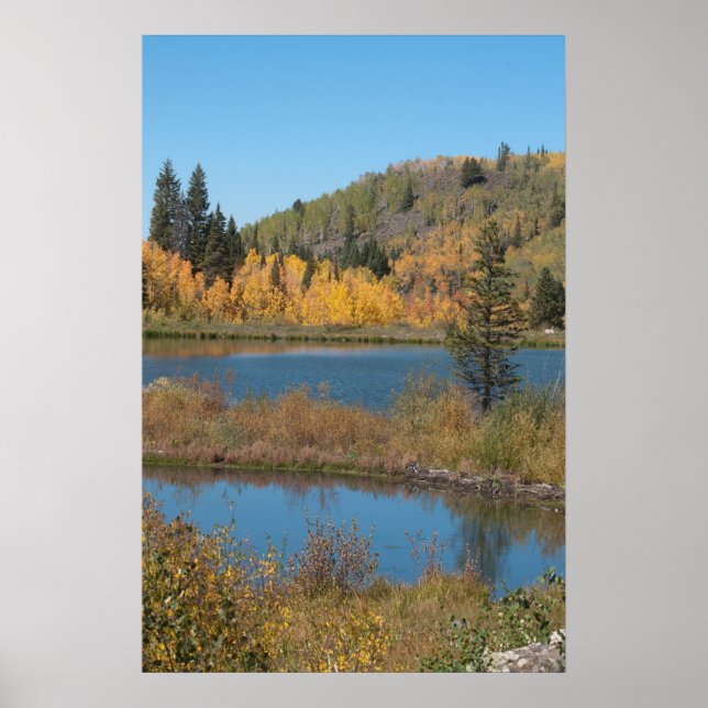 Jumbo Reservoir Poster (Front)