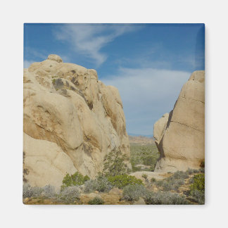Jumbo Rocks at Joshua Tree National Park Magnet