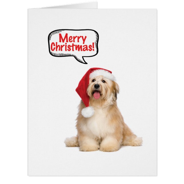 Jumbo Santa Pups Christmas Card (Front)