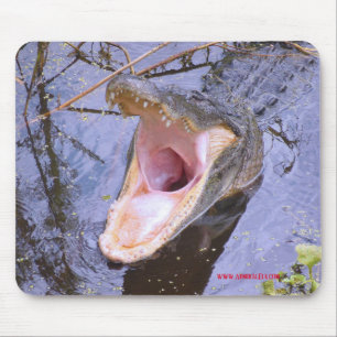 Jump In!  The Water's Fine! Mouse Pad