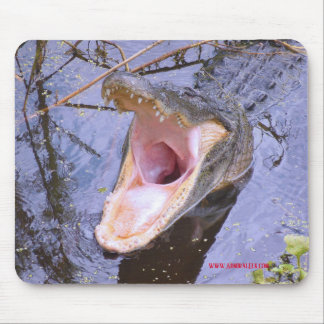 Jump In! The Water's Fine! Mouse Pad
