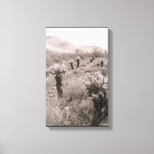 Jumping Cholla Cactus Desert B&W Photo Prints