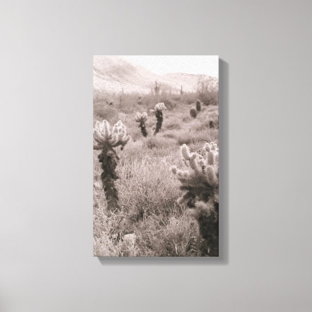 Jumping Cholla Cactus Desert B&W Photo Prints (Front)