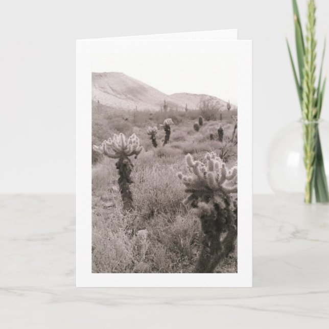 Jumping Cholla Cactus Desert Photo Greeting Card (Front)