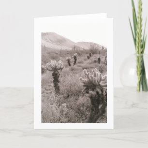 Jumping Cholla Cactus Desert Photo Greeting Card
