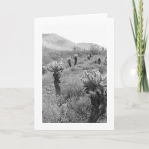 Jumping Cholla Cactus Desert Photo Greeting Card