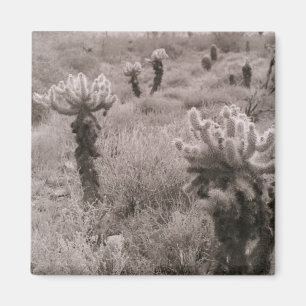 Jumping Cholla Cactus Desert Refrigerator Magnet